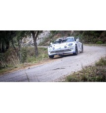 Lame Alpine A110 Rally