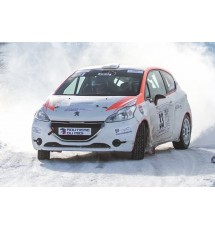 Pare chocs avant en fibre de verre pour Peugeot 208 GTI & F2000