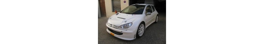 ÉLÉMENTS CARROSSERIE POLYESTER PEUGEOT 206 SUPER 1600