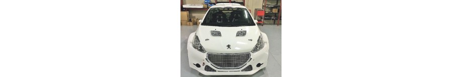 ÉLÉMENTS DE CARROSSERIE POLYESTER POUR PEUGEOT 208 TYPE R5 SUPER 1600