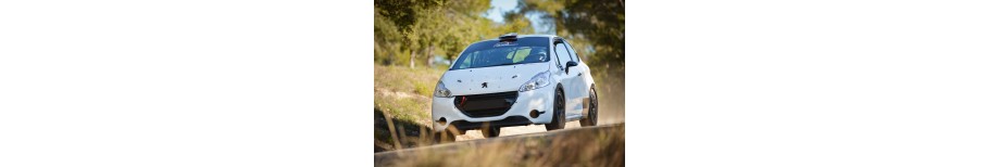 ÉLÉMENTS DE CARROSSERIE POLYESTER POUR PEUGEOT 208 F200 RALLYCROSS